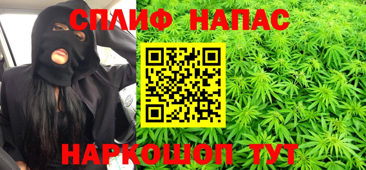 Симферополь  Каннабис SATIVA & INDICA  Каннабис планчик  Вход с VPN  Канабис OG Kush 